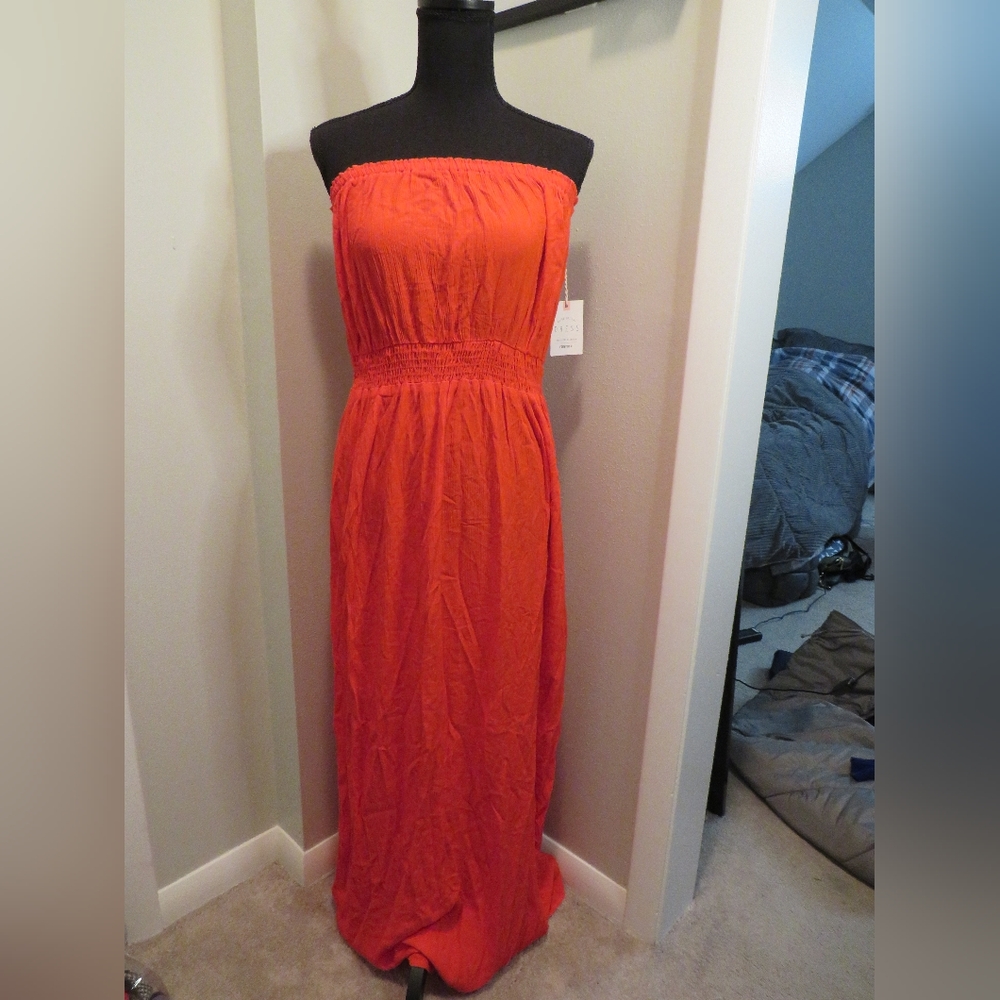 Tube Top Dress
